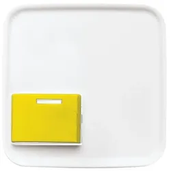 Busch-Jaeger Zentralscheibe aws 2548-642 D-214