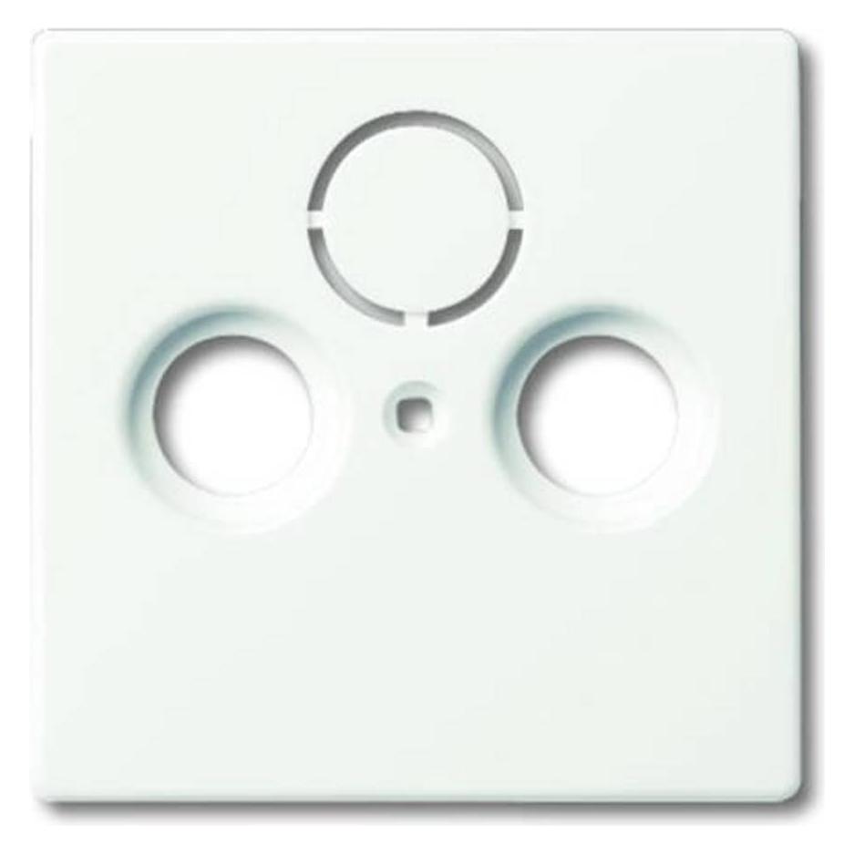 Busch-Jaeger Zentralscheibe (2CKA001724A4293)