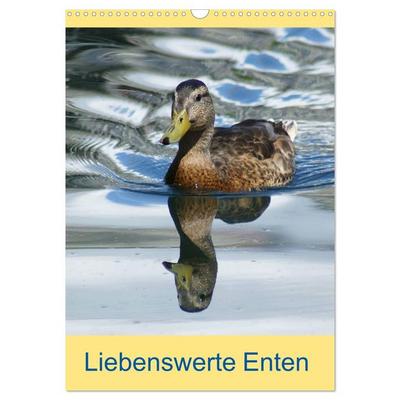 Liebenswerte Enten (Wandkalender 2026 DIN A3 hoch), CALVENDO Monatskalender