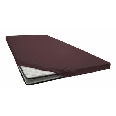 Spannbettlaken PRIMERA "Elasthan-Feinjersey Topper", braun (dunkelbraun), 1 Stk., Jersey-Elasthan, 180x200 180x210 180x220 190x200 190x210 190x220 200x200 200x210 10cm, Jersey-Elasthan, Obermaterial: 95% Baumwolle, 5% Elasthan, Bettlaken,...