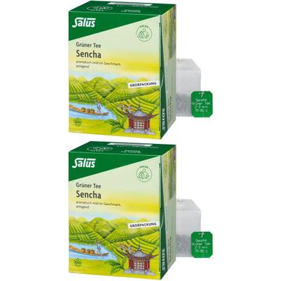 Grüner TEE Bio Salus Filterbeutel Großpackung 2x 2x40 St