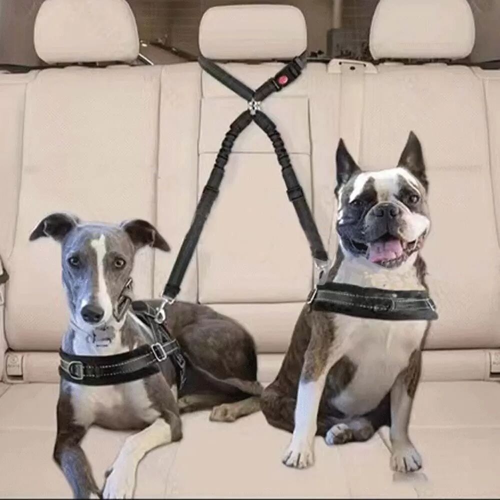INF Doppelte Hundeautosicherheitsgurte: Verstellbare & Reflektierende Sicherheitsleine für Zwei Haustiere Orange