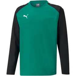 PUMA teamLIGA Training Sweatshirt Kinder pepper green/puma black 116
