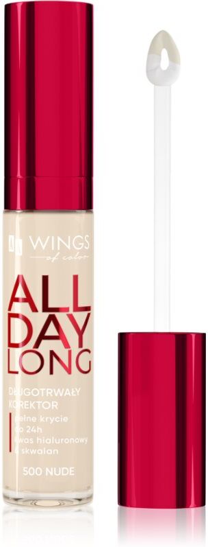 AA Wings of Color All Day Long Long Lasting Concealer liquid concealer shade 500 Ivory 6.2 g
