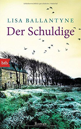 Lisa Ballantyne - Der Schuldige: Roman - Preis vom 16.10.2026 11:41:07 h
