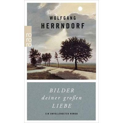 Bilder deiner großen Liebe, Taschenbuch von Wolfgang Herrndorf, Rowohlt Taschenbuch, 978-3-499-26909-7
