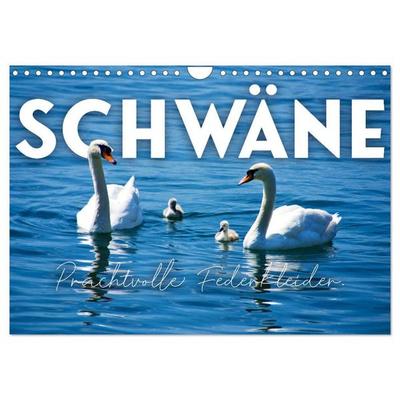 Schwäne - Prachtvolle Federkleider. (Wandkalender 2027 DIN A4 quer), CALVENDO Monatskalender