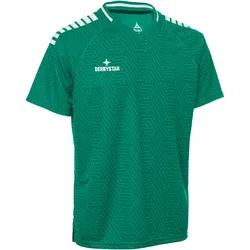 DERBYSTAR Primo Fußballtrikot Herren grün/weiß XL