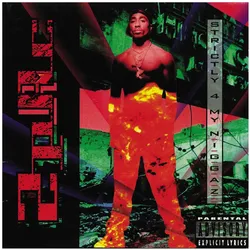 Interscope, Schallplatten, Strictly 4 My N.I.G.G.A.Z...(2LP) (Tupac Shakur)