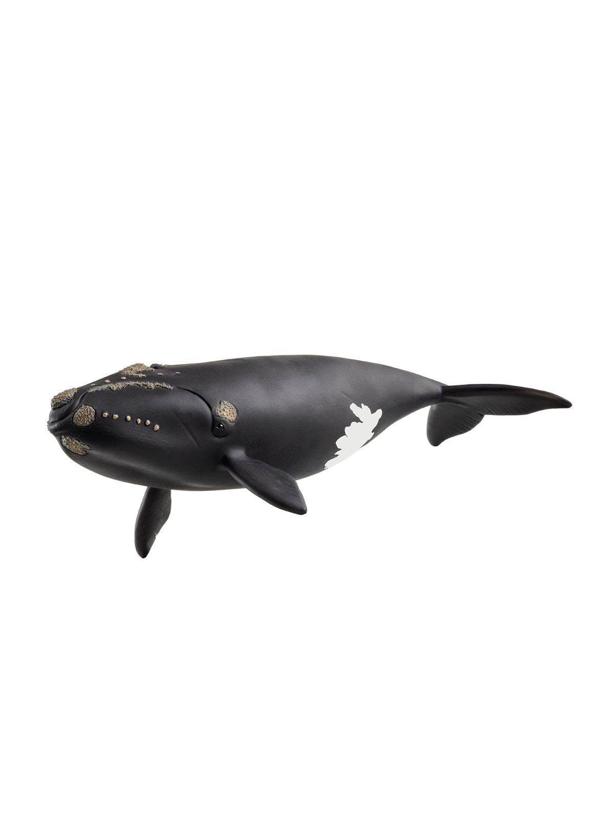 Schleich Nordatlantischer Glattwal