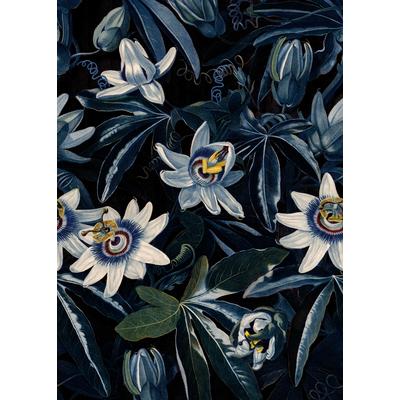 Fototapete ART FOR THE HOME "Blumenmeer", bunt (schwarz, bla), B:2m L:2,8m, Vlies, Tapeten, Blumenmeer Passionsblume280x200 cm