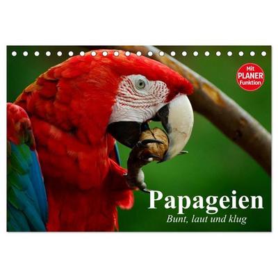 Papageien. Bunt, laut und klug (Tischkalender 2027 DIN A5 quer), CALVENDO Monatskalender
