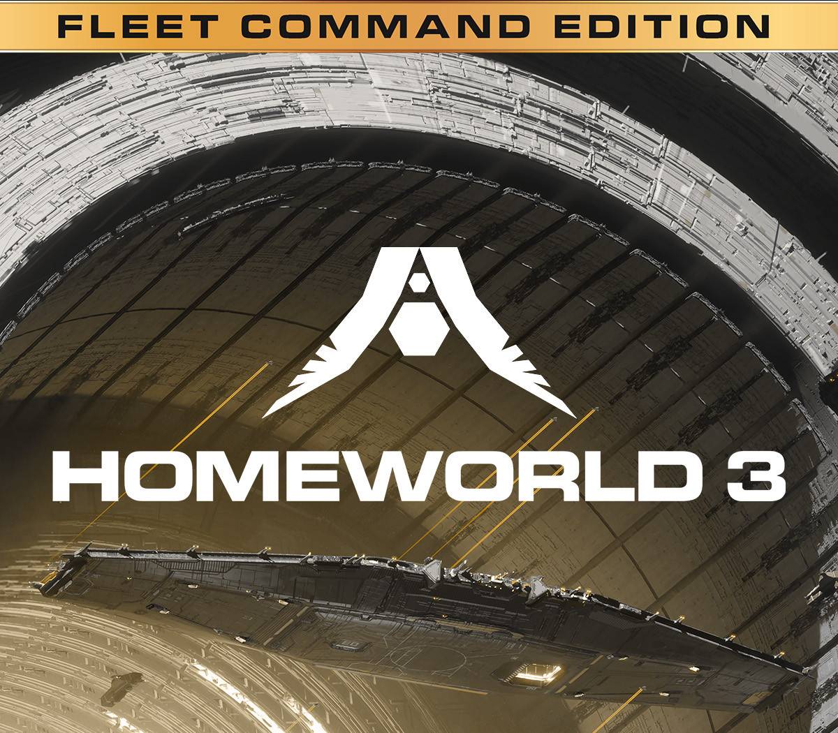 Homeworld 3 Fleet Command Edition Steam CD Key