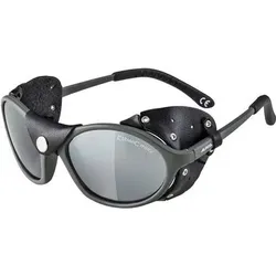 ALPINA Brille SIBIRIA, Größe ONE SIZE in Grau Grau