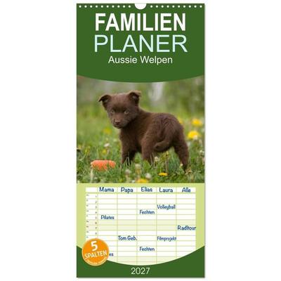 Familienplaner 2027 - Aussie Welpen 2027 mit 5 Spalten (Wandkalender, 21 x 45 cm) CALVENDO