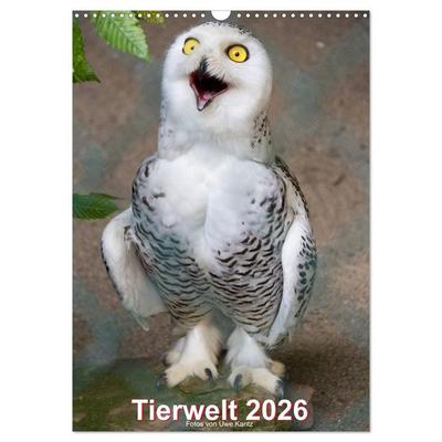 Tiere (Wandkalender 2026 DIN A3 hoch), CALVENDO Monatskalender