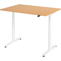 Bümö, Schreibtisch, Schreibtisch elektrisch Bluetooth & App XDLR (120 x 80 x 72 cm)