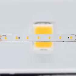 Beneito & Faure FINE LED-Streifen 25 Meter 4,8 W/m 6000 K IP20 - Professionelle, hocheffiziente Beleuchtungslösung für Innenräume
