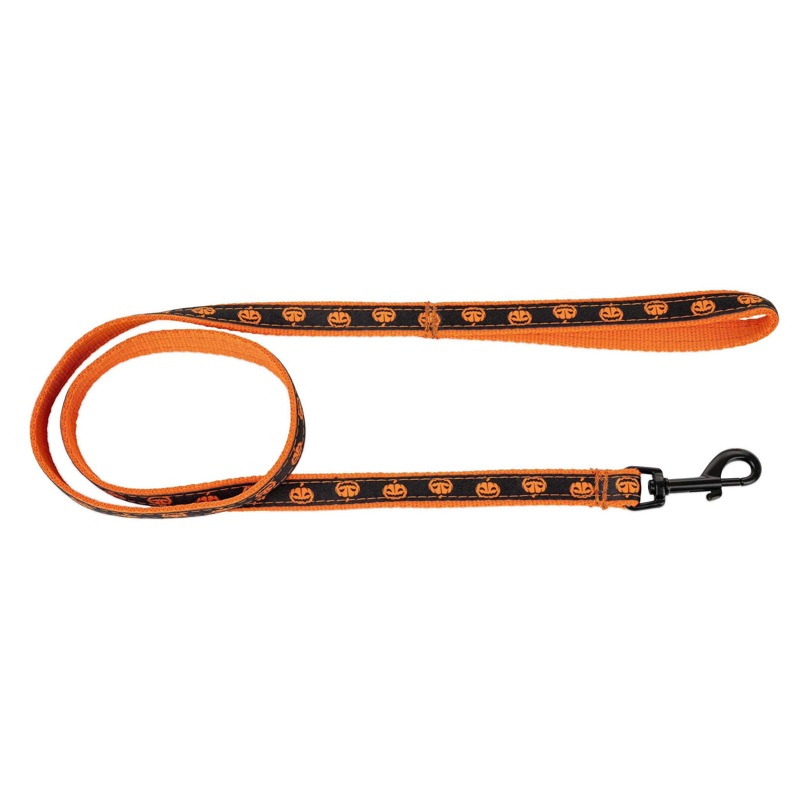 Barry King Kürbisfarbenes Lanyard, schwarz/orange (77741284)