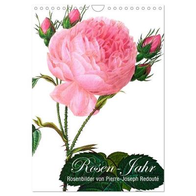 Rosen-Jahr (Wandkalender 2026 DIN A4 hoch), CALVENDO Monatskalender