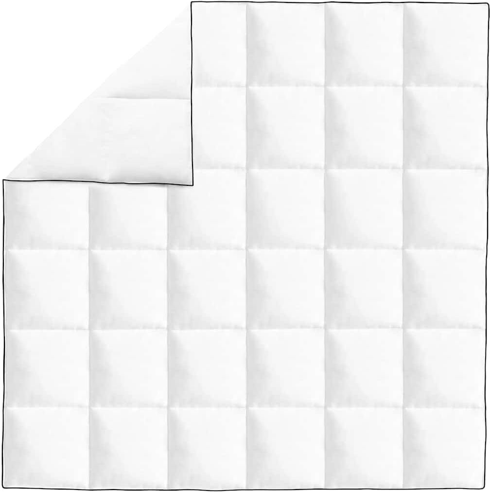 vidaXL Couette en duvet d'hiver 200 x 200 cm
