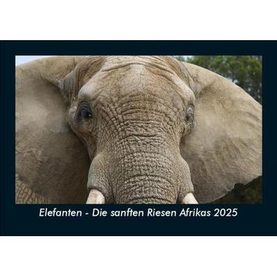 Elefanten - Die sanften Riesen Afrikas 2025 Fotokalender DIN A5