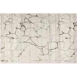 WECONhome Kurzflorteppich Solo Fields WH-00335-670 beige 80x150