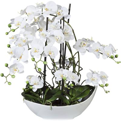 Kunstorchidee CREATIV GREEN "Phalaenopsisarrangement, 68cm weiss", weiß, H:68cm, Kunststoff, Kunstpflanzen, in Keramikschale