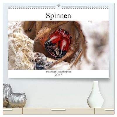 Faszination Makrofotografie: Spinnen (hochwertiger Premium Wandkalender 2027 DIN A2 quer), Kunstdruck in Hochglanz