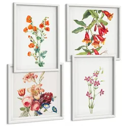 BILDER SET 4er Set - 50x50 cm & 40x60 cm Weißer Rahmen - Blumenmalerei im Retro-Stil
