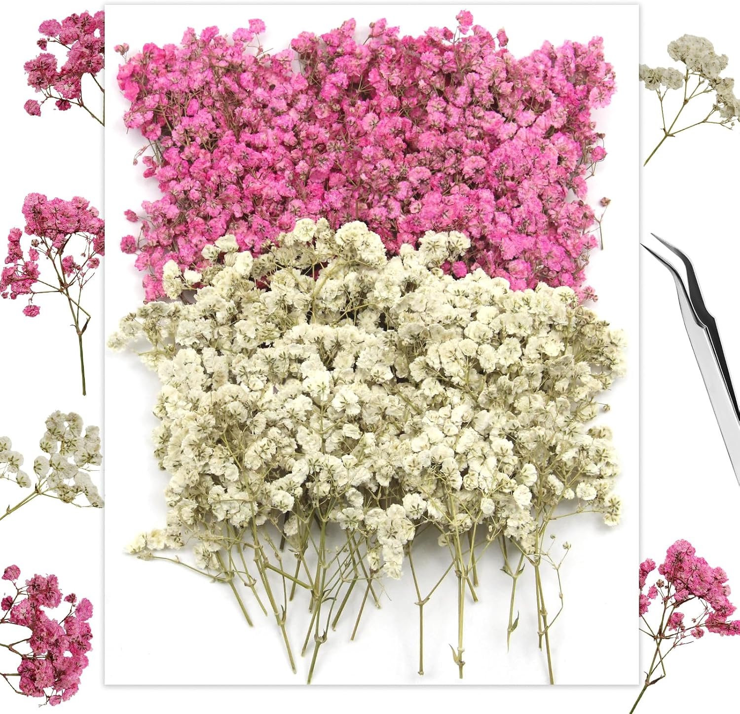 Gedroogde gypsophila wit en roze mini-droogbloemen voor decoratie en kunsthandwerk