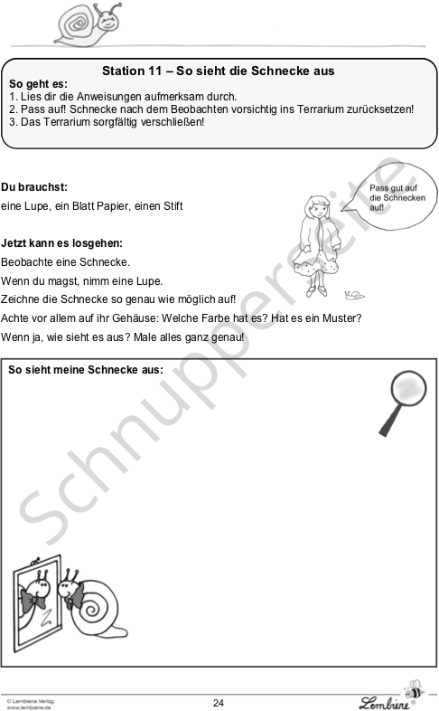 Lernbiene Die Schnecke