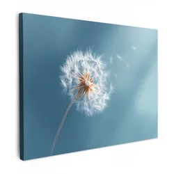 LEINWANDBILD Löwenzahn - Wind - Blau Wandbild 40x30 cm