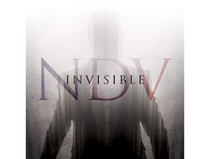 Nick D'virgilio - Invisible