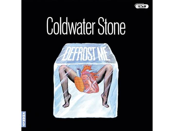 DEFROST ME (CLEAR VINYL)