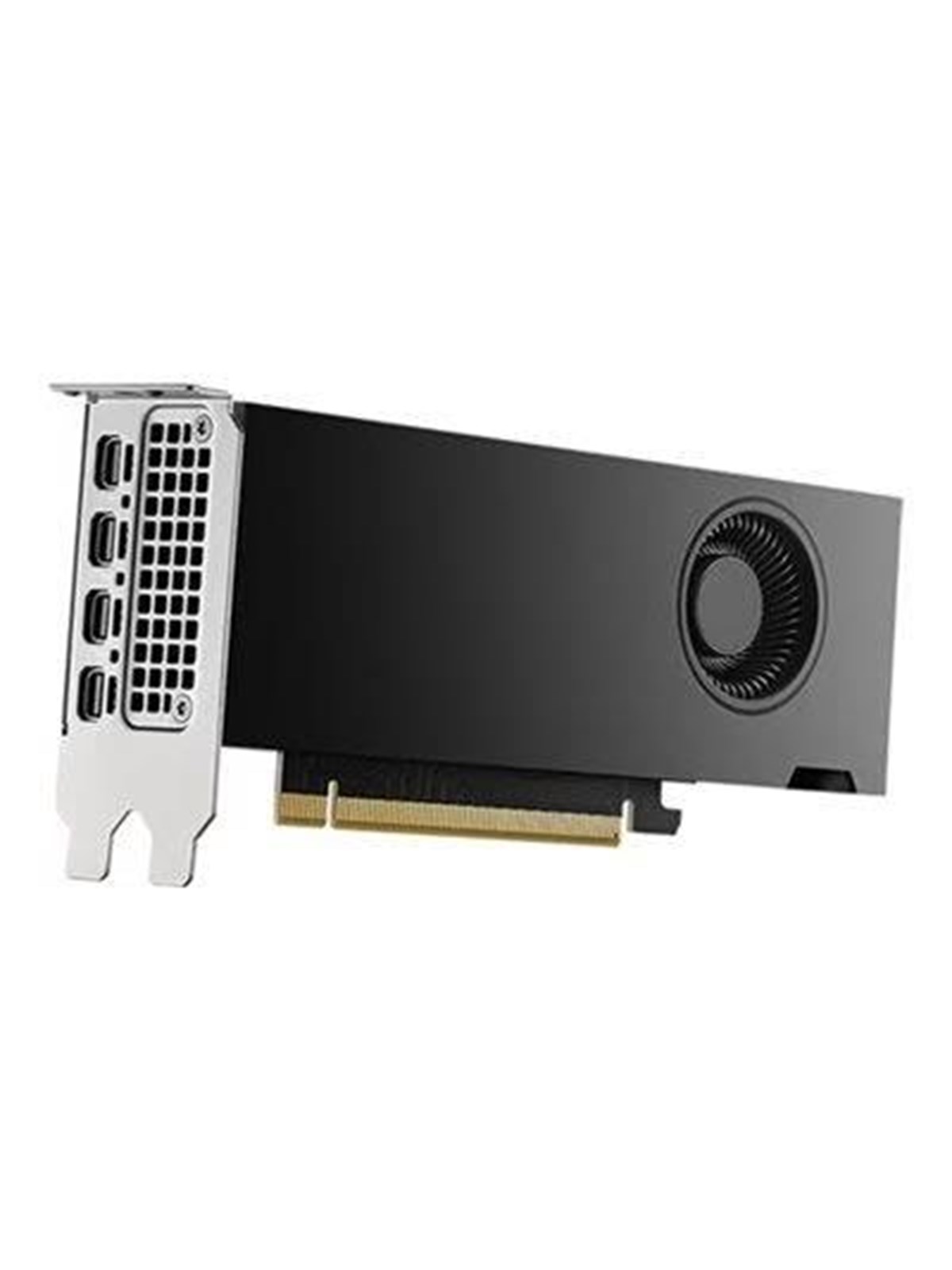Dell RTX 2000 Ada - 16GB GDDR6 RAM - Grafikkarte