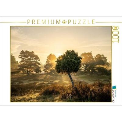 CALVENDO Puzzle Sonnenaufgang in der Westruper Heide | 1000 Teile Lege-Größe 64 × 48 cm Foto-Puzzle für glückliche Stunden