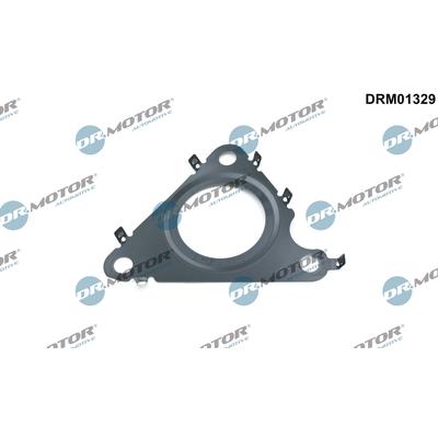 DR.MOTOR AUTOMOTIVE Dichtung, AGR-Ventil drm01329 vor Abgasrückführung für VW