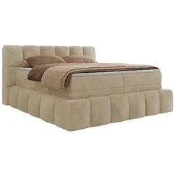 BOXSPRINGBETT NIRA KING 140/200 Creme Plüsch - H3