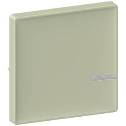 Legrand Abdeckung 754891A