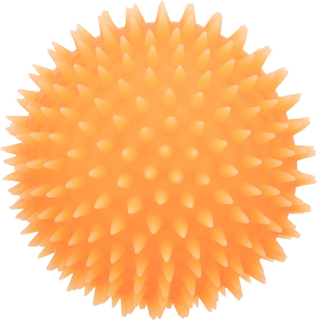 TRIXIE Igelball, phosphoreszierend, Vinyl, Ø 10 cm