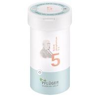 BIOCHEMIE Pflüger 5 Kalium phosphoricum D 6 Pulver 100 g