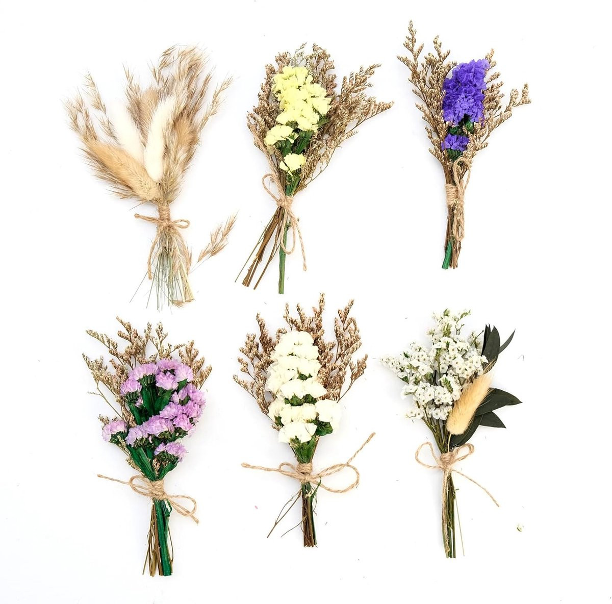 Set van 6 bundels gedroogde bloemen voor decoratie, kunst en bruiloften