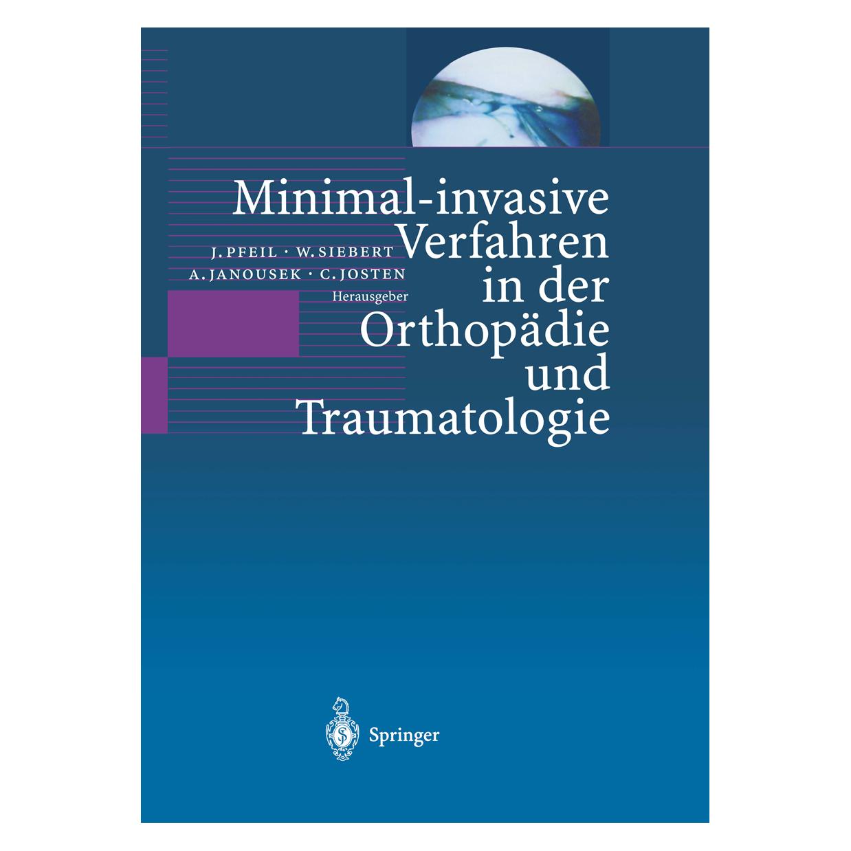 Springer Recent Advances in Diagnostic Neuroradiology (Englisch, Softcover, Ph. Demaerel) (55551579)