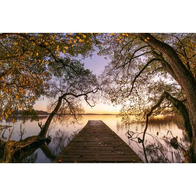 Fototapete PAPERMOON "Photo-Art KELLER, HERBST", bunt, B:4,5m L:2,8m, Vlies, Tapeten