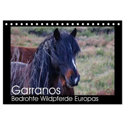 Garranos - Bedrohte Wildpferde Europas (Tischkalender 2027 DIN A5 quer), CALVENDO Monatskalender
