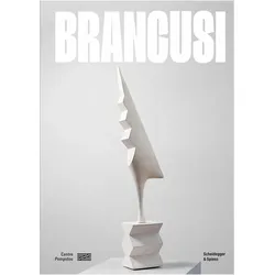 Brancusi, Fachbücher von Constantin Brancusi, Ariane Coulondre