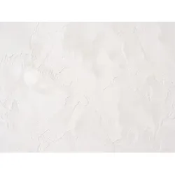 Fineza Betonspachtel 20 kg white inkl. Glanzlack und Grundierung BS20WHLP