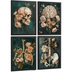 POSTER Set aus 4 Anatomie Mensch Drucke und mit Schädel Gehirn Lungen Luftröhre Bronchien Becken Wirbelsäule Florales Größe Schwarzer Rahmen A3