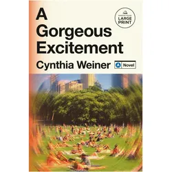 A Gorgeous Excitement, Belletristik von Cynthia Weiner